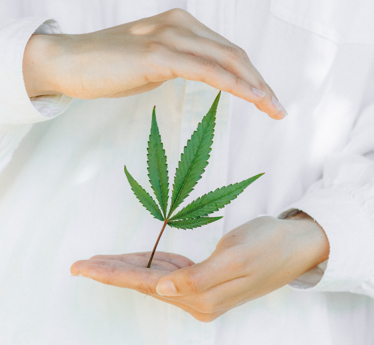 What doctors want women to know about cannabis and menopause